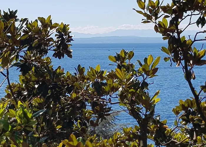 Sunny 150 M From The Sea