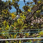 Sunny 150 M From The Sea