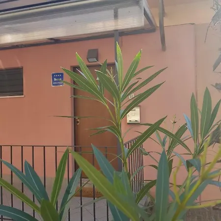 Sunny 150 M From The Sea