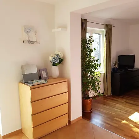 Sunny 150 M From The Sea