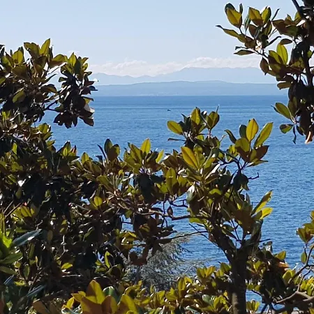 Sunny 150 M From The Sea