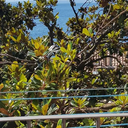 Sunny 150 M From The Sea