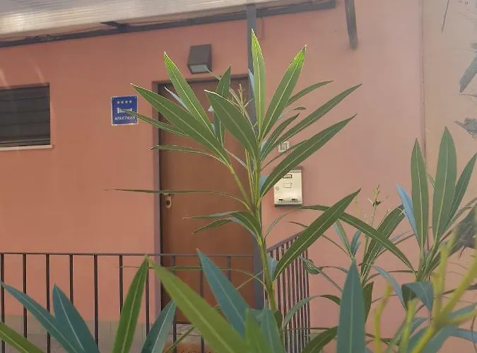 Sunny 150 M From The Sea