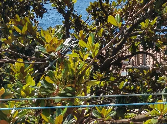 Sunny 150 M From The Sea