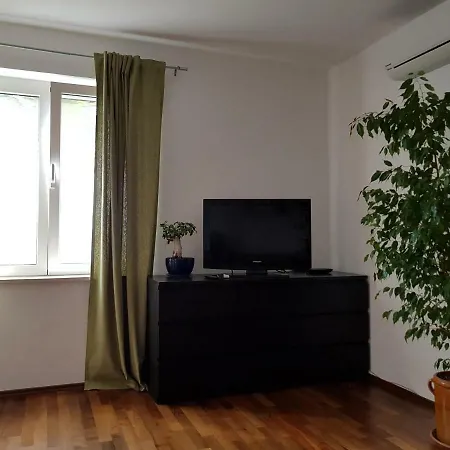 Sunny 150 M From The Sea