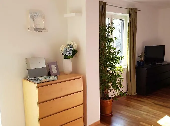 Sunny 150 M From The Sea